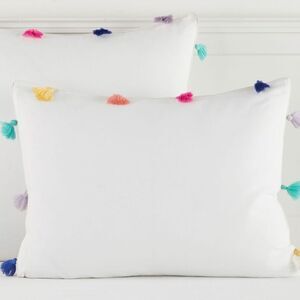 Pottery Barn Teen Tassel Standard Sham